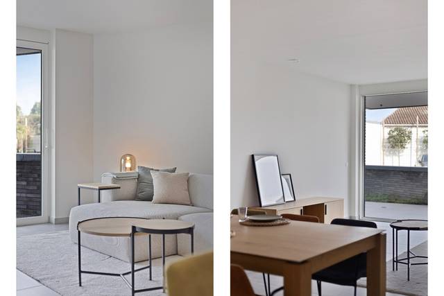 Project te koop in Jabbeke