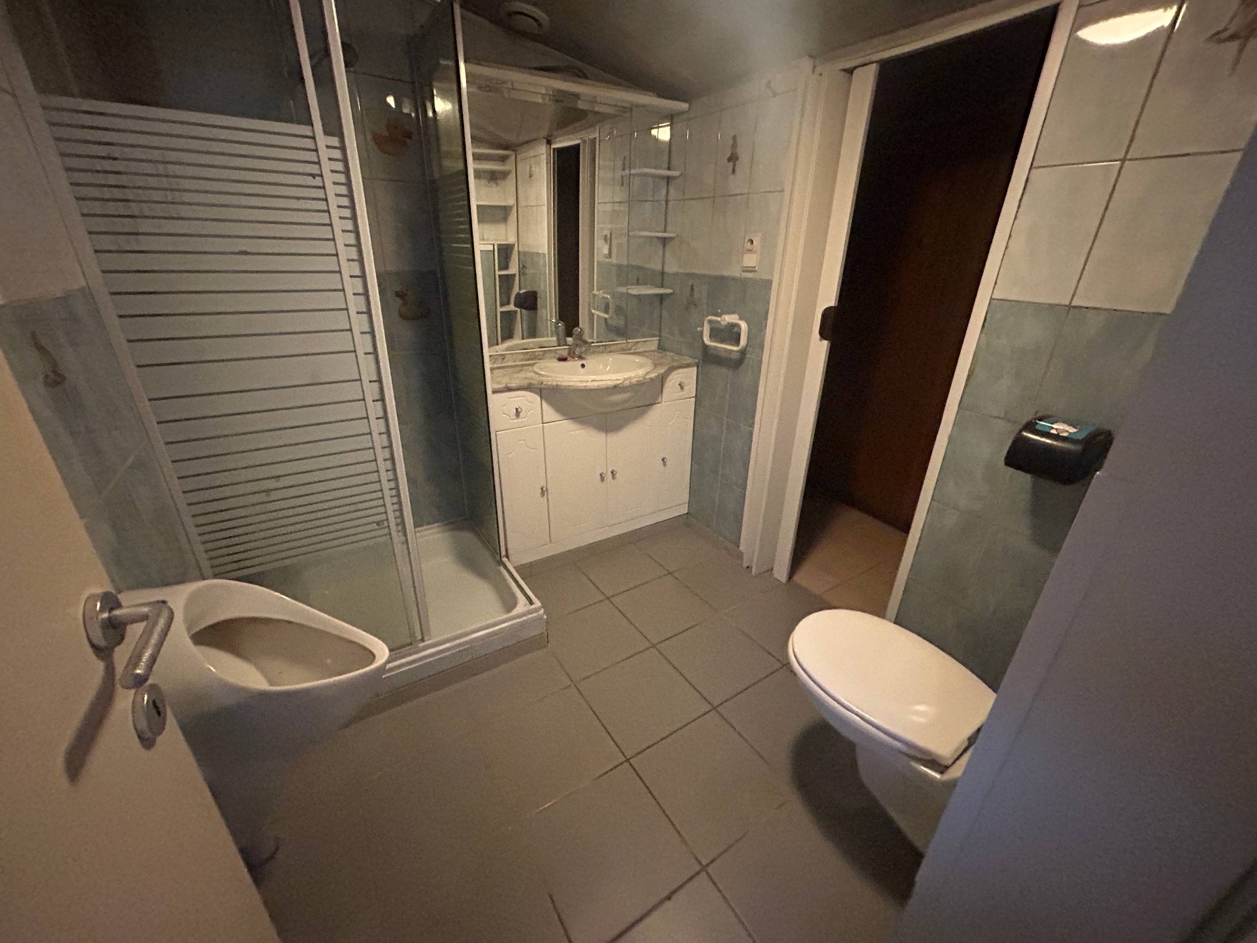 Woning met 4 slaapkamers en uitweg - foto 5