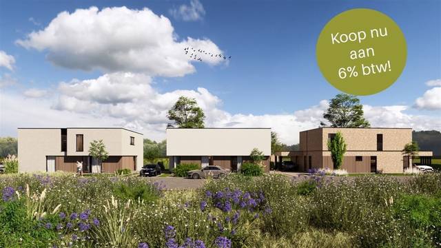 Project te koop in Munsterbilzen