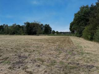 Te koop: landbouwgrond van 11.500 m² in SchriekOp zoek naar een mooie landbouwgrond op een rustige locatie? Deze ruime perceel van 11.500 m² bevindt...