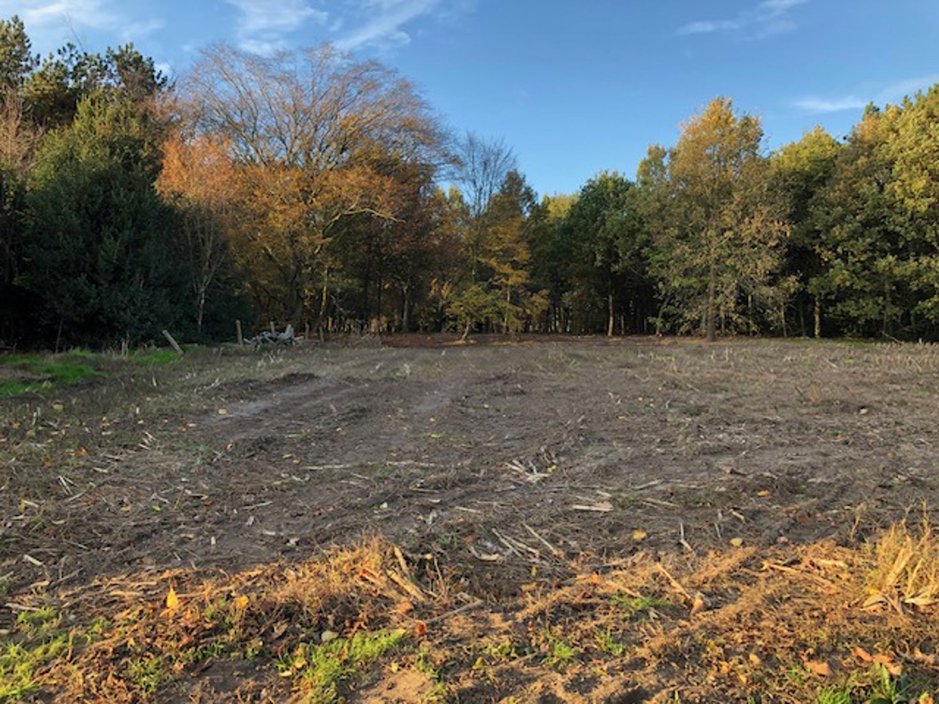 Nabij Staakteschool: landelijk gelegen bouwgrond voor OB - foto 5