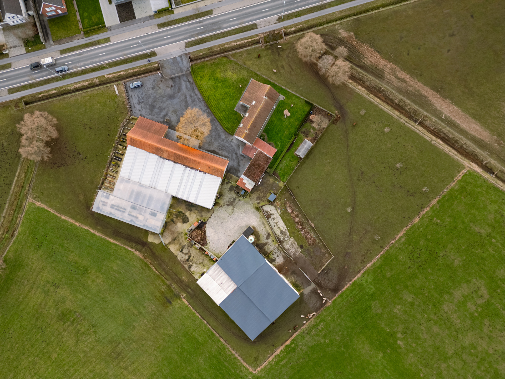 Hoeve met commerciële zichtlocatie in Torhout + weiland  - foto 4
