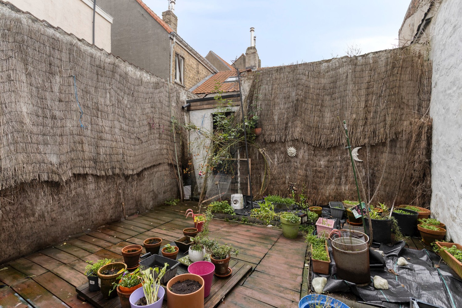 ZWANKENDAMME: RUIME, TE MODERNISEREN WONING MET ZONNIG TERRAS - foto 4