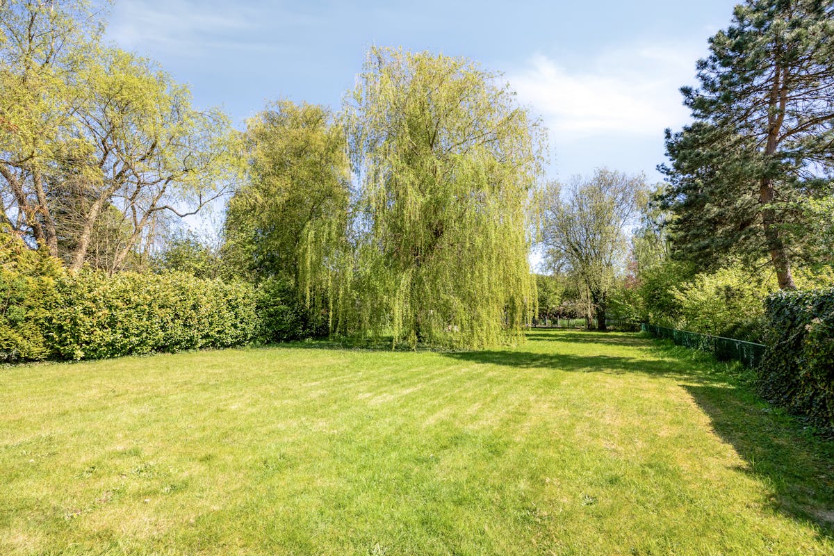 Te renoveren woning met grote tuin in Heide-Kalmthout! - foto 3