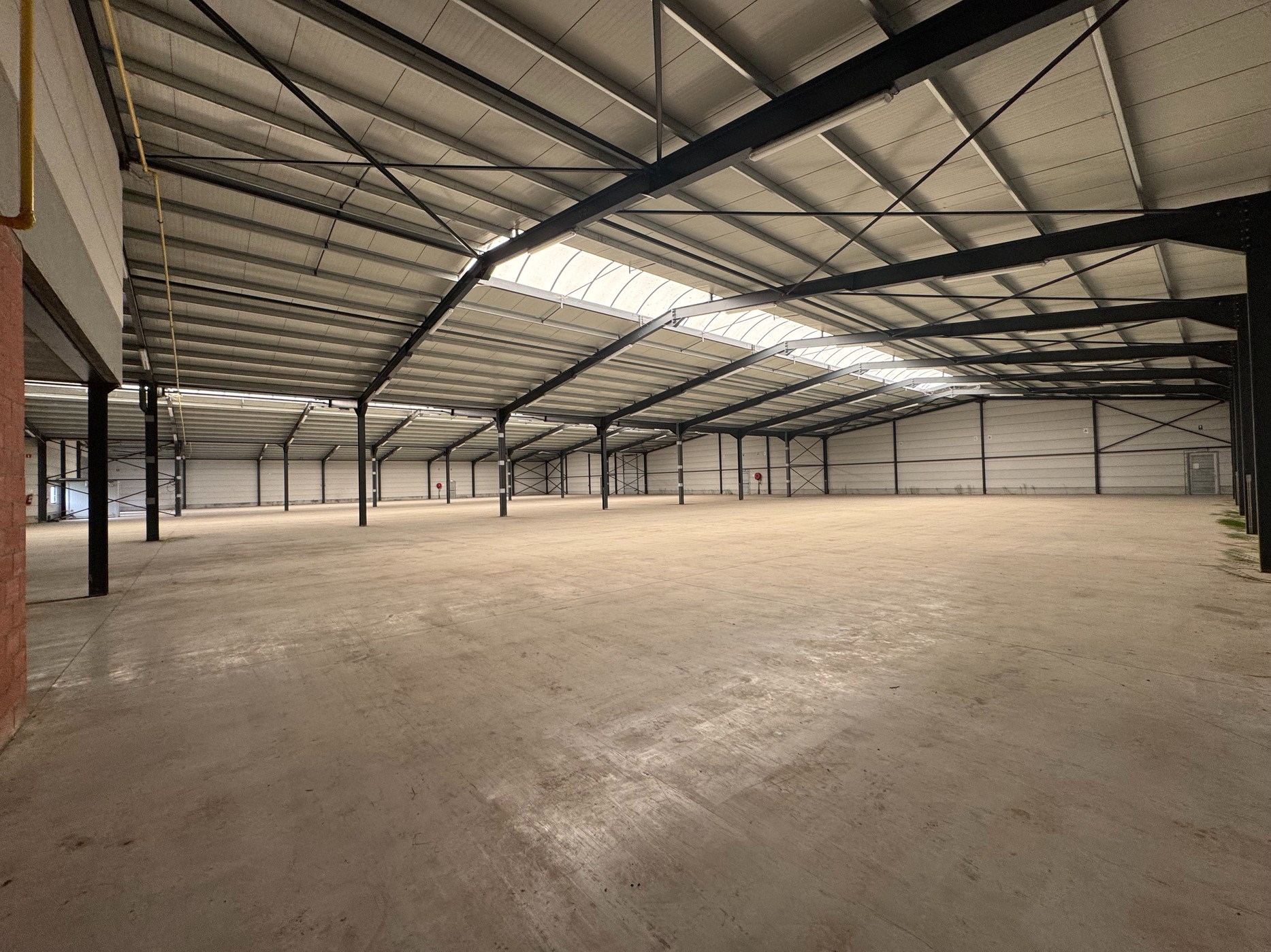 Ruim magazijn van 3.500 m² nabij de E40 en R4 - foto 4
