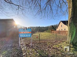 Terrain à vendre à Tessenderlo-Ham